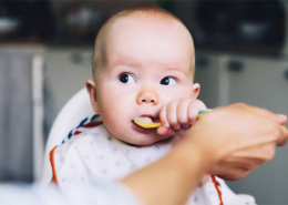 En qué orden se deben introducir los alimentos a la dieta del bebé